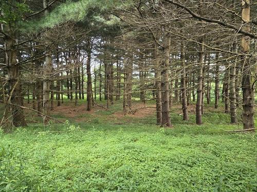 Lot 3 Salmon River Road, Murray Siding, NS 