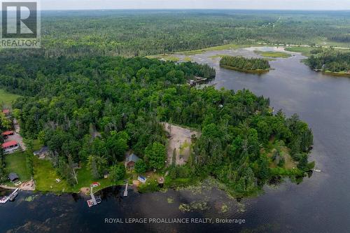 0 Pearce Road, Kawartha Lakes (Bexley), ON 