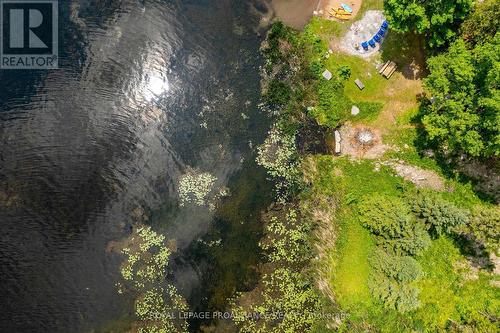 0 Pearce Road, Kawartha Lakes (Bexley), ON 