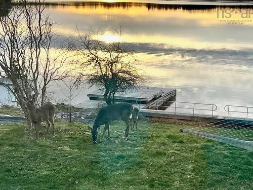 82 Masons Point Road, Head Of St. Margarets Bay, NS 