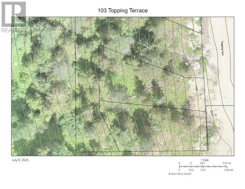 103 Topping Terrace, Rossland, BC 