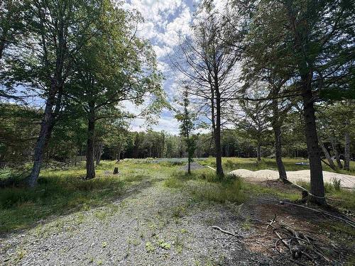 56 Christopher King Lane, Oakfield, NS 