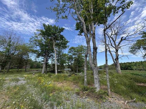 56 Christopher King Lane, Oakfield, NS 