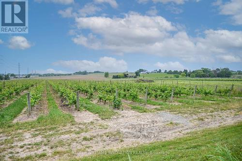 3749 Walker Road, Lincoln, ON 