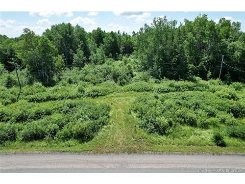 - Route 180, South Tetagouche, NB 