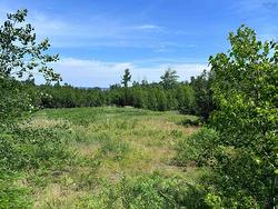 Lot 5 Rockfield Drive  Little Harbour, NS B2H 5C4