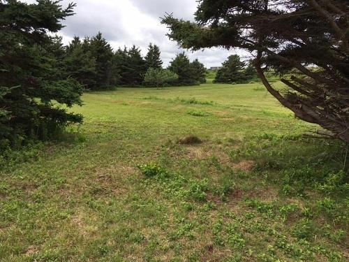 Roach Road, Point Cross, NS 