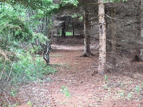 Roach Road, Point Cross, NS 