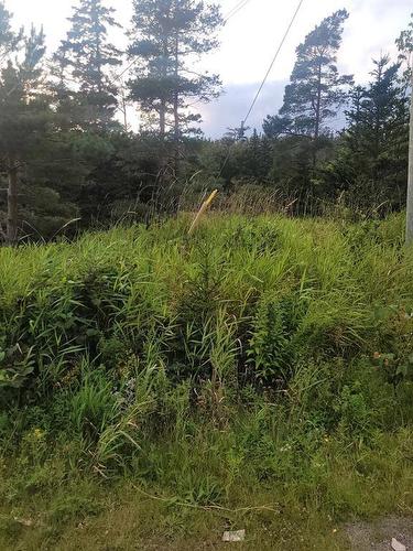 Lot 2&3-86 Conception Bay Highway, Holyrood, NL 