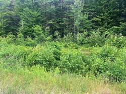 0 Route 127  Bayside, NB E5B 2S4