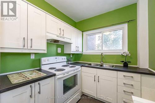 6 - 285 King Street, Hamilton, ON - Indoor Photo Showing Kitchen With Double Sink