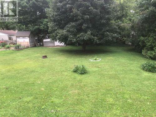 Back Yard From Deck - 204 Amelia Street, Brockton, ON - Outdoor