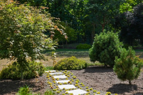 3767 Maple Lane, Royston, BC 