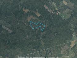 Vacant Land Mount Pleasant Road  Mount Pleasant, NS B0K 1K0