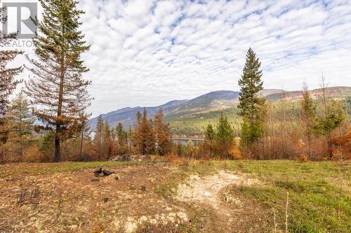 8767 Holding Road, Chase, BC 