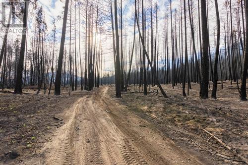 8767 Holding Road, Chase, BC 