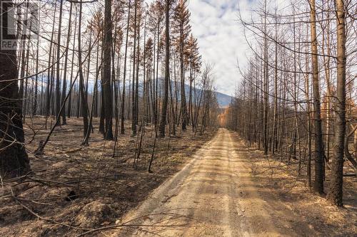 8767 Holding Road, Chase, BC 