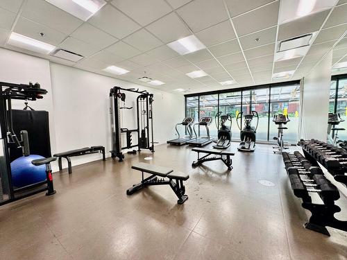 Salle d'exercice - 512-385 Rue St-Martin, Montréal (Le Sud-Ouest), QC - Indoor Photo Showing Gym Room