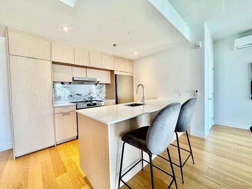 Cuisine - 512-385 Rue St-Martin, Montréal (Le Sud-Ouest), QC - Indoor Photo Showing Kitchen