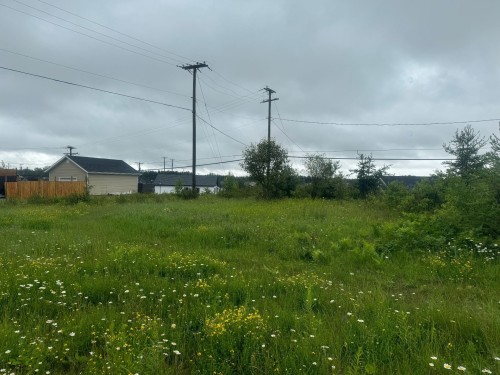Terre/Terrain - 780 Av. Dargis-Ménard, Malartic, QC 
