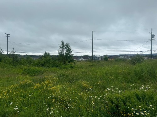 Terre/Terrain - 760 Av. Dargis-Ménard, Malartic, QC 