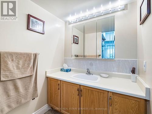 202 - 310 Mill Street S, Brampton, ON - Indoor Photo Showing Bathroom