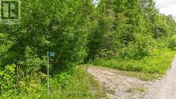 3068 MCLAUGHLIN ROAD  Whitewater Region, ON K8A 6W3