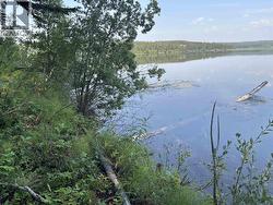 19559 CHILCOTIN 20 HIGHWAY  Williams Lake, BC V0L 1R0