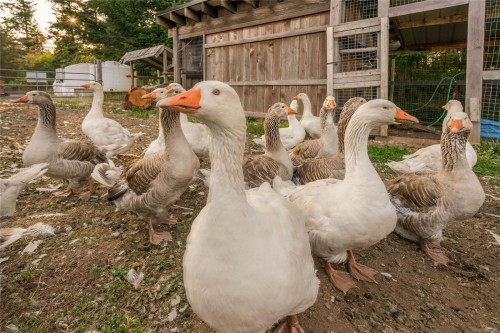 2400 Anderton Rd, Comox, BC 