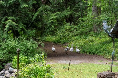 3272 Roper Rd, Nanaimo, BC 