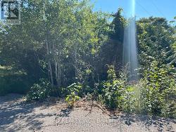 N/A ASPHODEL 12TH LINE  Asphodel-Norwood, ON K0L 2V0