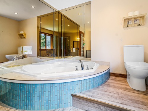 Salle de bains - 202 Ch. Des Chênes, Sainte-Anne-Des-Lacs, QC - Indoor Photo Showing Bathroom