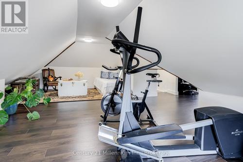 439 Birch Street, Collingwood, ON - Indoor Photo Showing Gym Room
