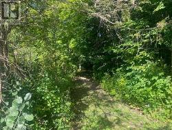 000 COUNTY RD 11, JONES FALLS ROAD  Rideau Lakes, ON K0G 1E0