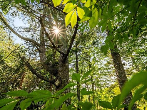 809 Horne Settlement Road, Enfield, NS 