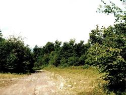 Lots 2 & 3 Big Brook Road Big Brook, NS B0E 2Y0