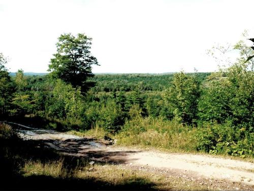 Lots 2 & 3 Big Brook Road, Big Brook, NS 