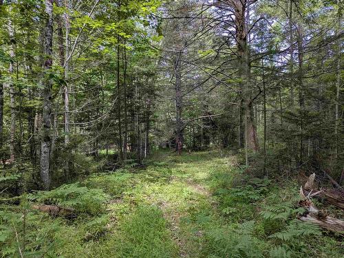 Lot Mill Road, Round Hill, NS 