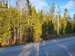 PT LT16 BRADLEY DRIVE  Northern Bruce Peninsula, ON N0H 1Z0
