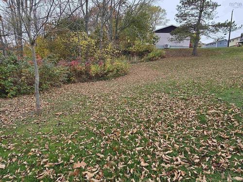 25-1 Weir Ave, Stellarton, NS 