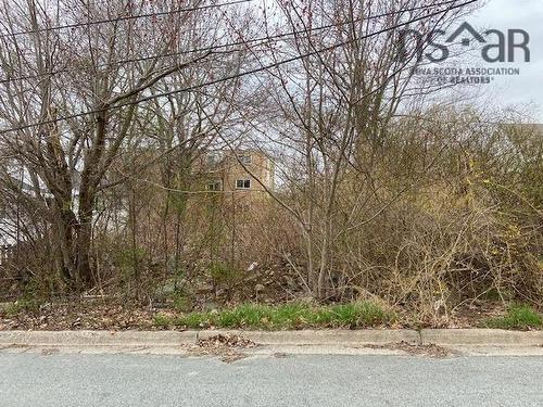 15 Springhill Drive, Dartmouth, NS 