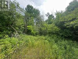 0 CENTRE LINE ROAD  Marmora And Lake (Marmora Ward), ON K0K 2M0