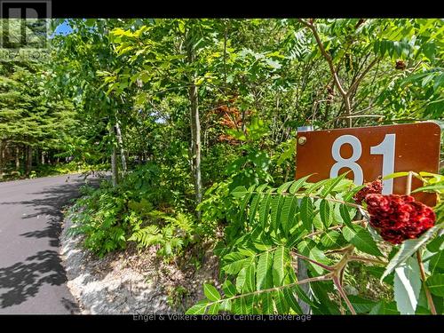 81 Spruce Street, Tiny, ON - Outdoor