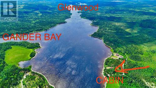 0 4Th Pond, Gander River, NL - Outdoor With View