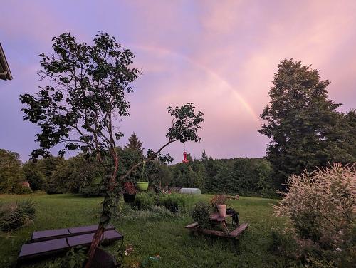 Terre/Terrain - 661 Ch. Bunker, Magog, QC - Outdoor