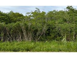 Highway 1  Church Point, NS B0W 1M0