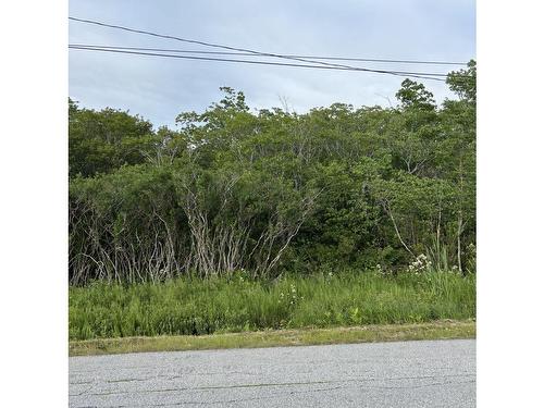 Highway 1, Church Point, NS 