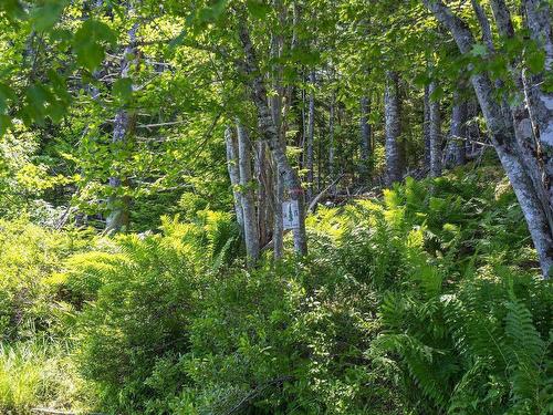 14 Killiam Forest Road, Ireton, NS 