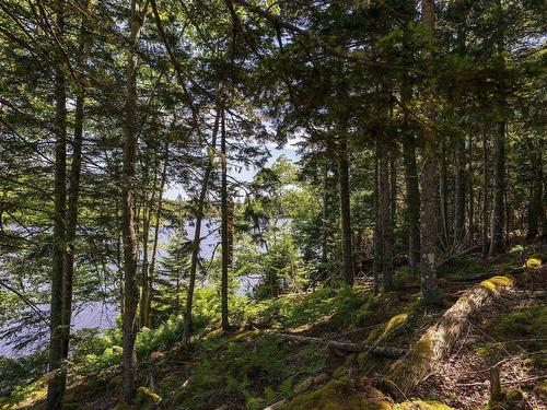 14 Killiam Forest Road, Ireton, NS 