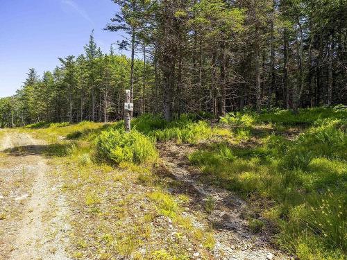 14 Killiam Forest Road, Ireton, NS 